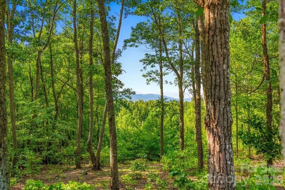 207 Mossy Oak Trail #166 Nebo, NC 28761