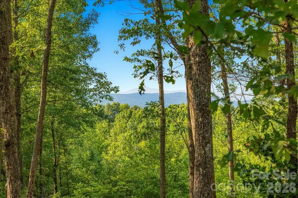 207 Mossy Oak Trail #166 Nebo, NC 28761