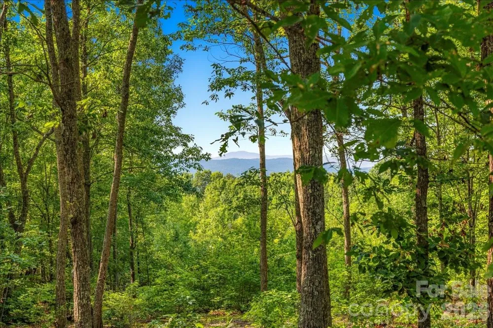 207 Mossy Oak Trail #166 Nebo, NC 28761