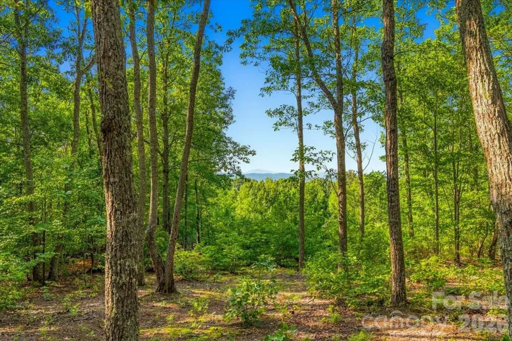 207 Mossy Oak Trail #166 Nebo, NC 28761