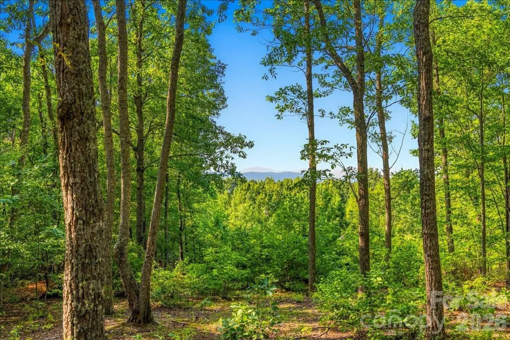 207 Mossy Oak Trail #166 Nebo, NC 28761