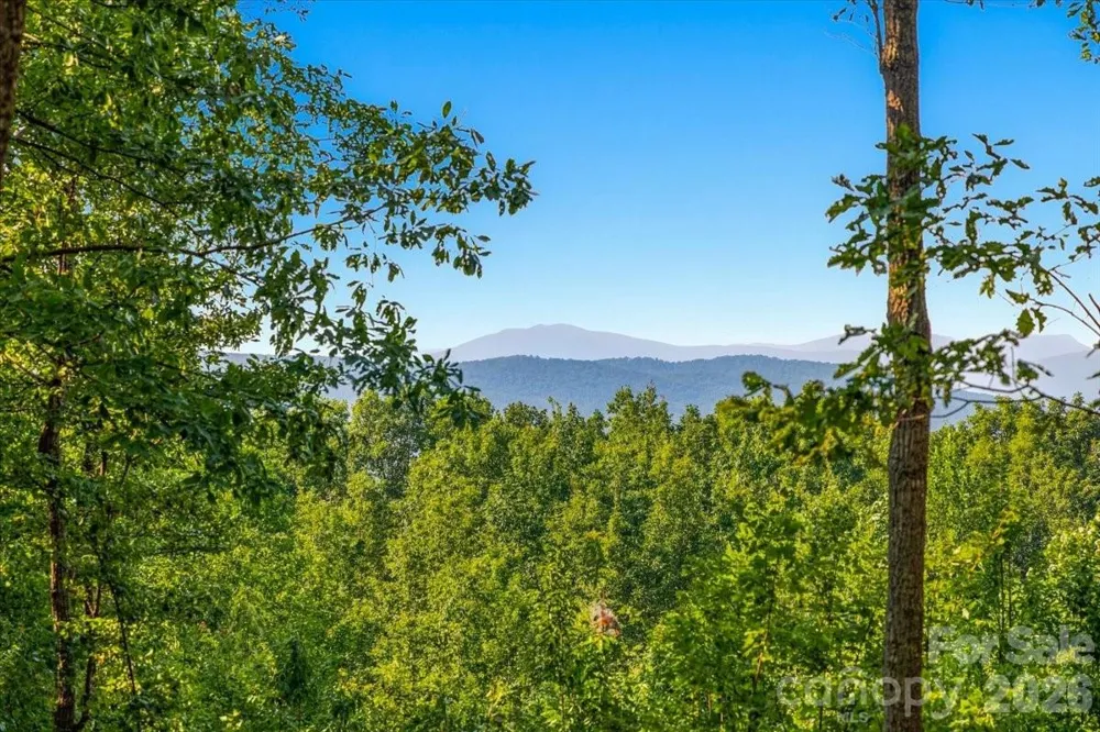 207 Mossy Oak Trail #166 Nebo, NC 28761