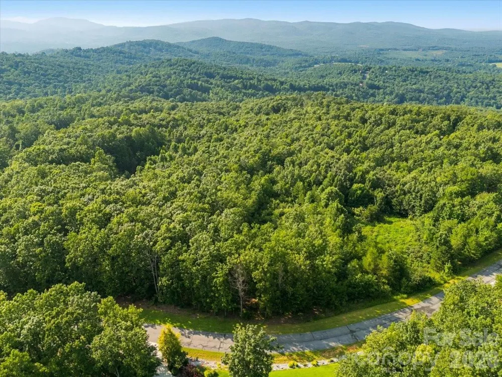 207 Mossy Oak Trail #166 Nebo, NC 28761