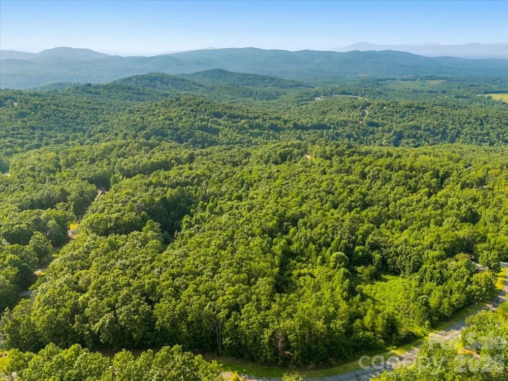207 Mossy Oak Trail #166 Nebo, NC 28761