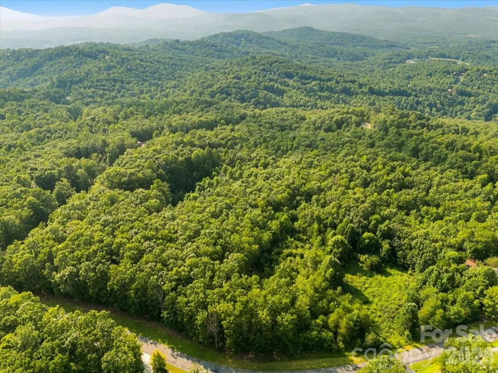 207 Mossy Oak Trail #166 Nebo, NC 28761