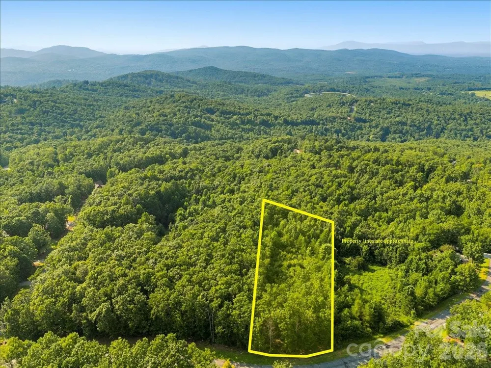 207 Mossy Oak Trail #166 Nebo, NC 28761
