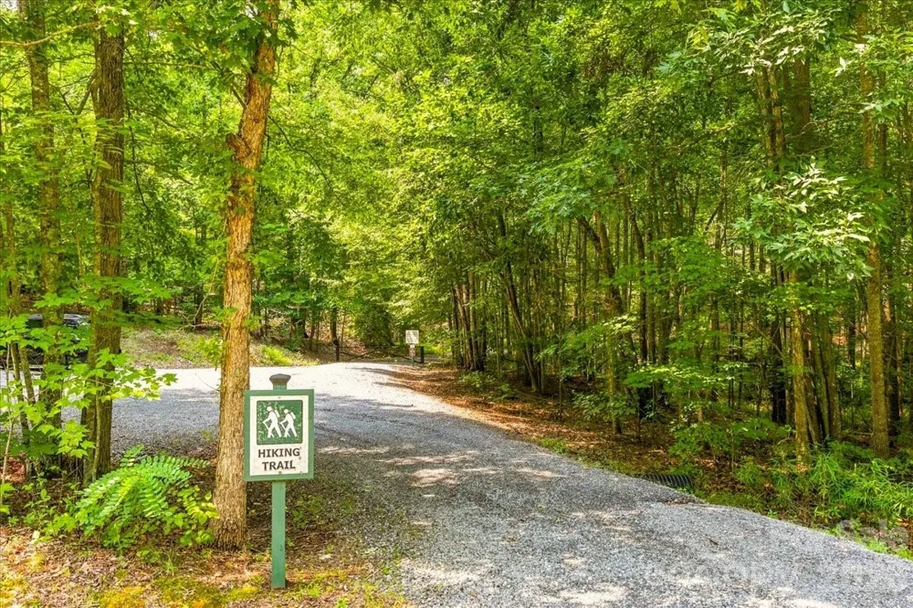 207 Mossy Oak Trail #166 Nebo, NC 28761
