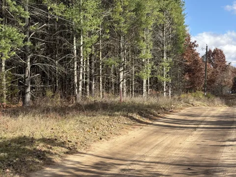Tamarack Road