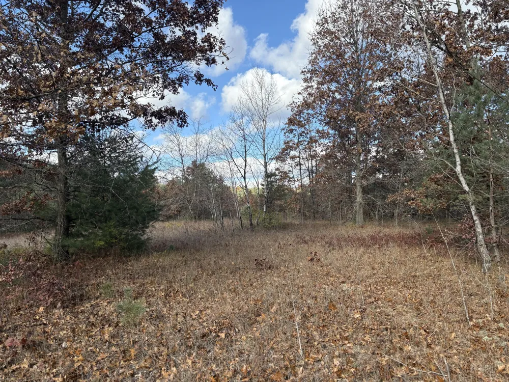 Tamarack Road Newaygo, MI 49337