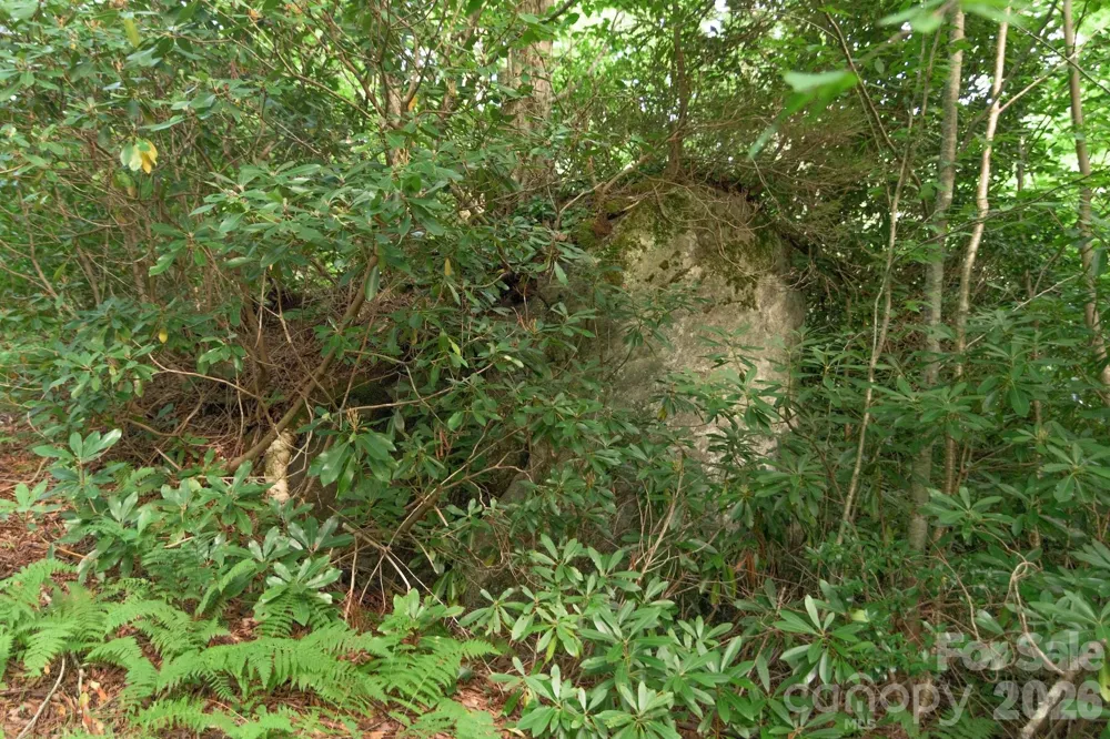 Lot 17R Kilkenney Boone, NC 28607