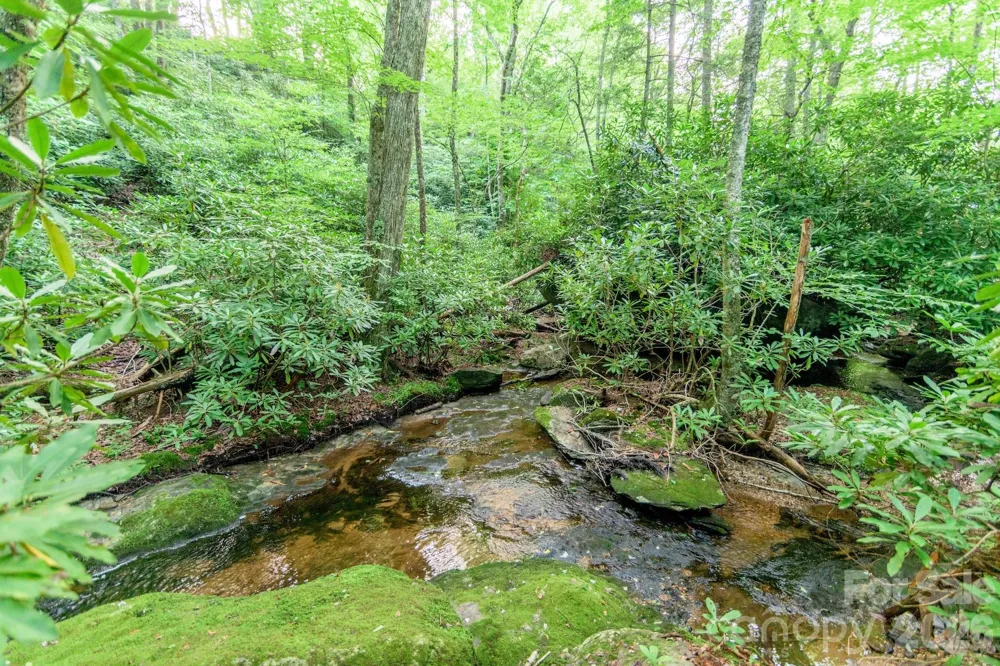 Lot 17R Kilkenney Boone, NC 28607