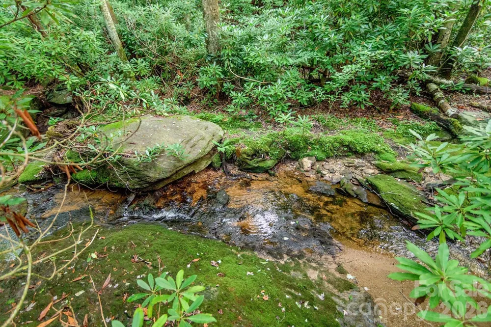 Lot 17R Kilkenney Boone, NC 28607