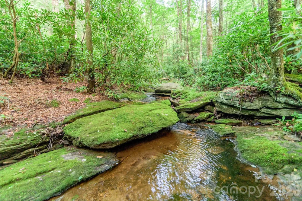 Lot 17R Kilkenney Boone, NC 28607