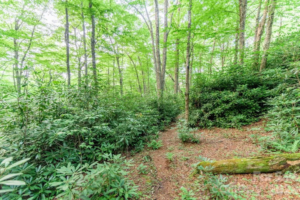 Lot 17R Kilkenney Boone, NC 28607