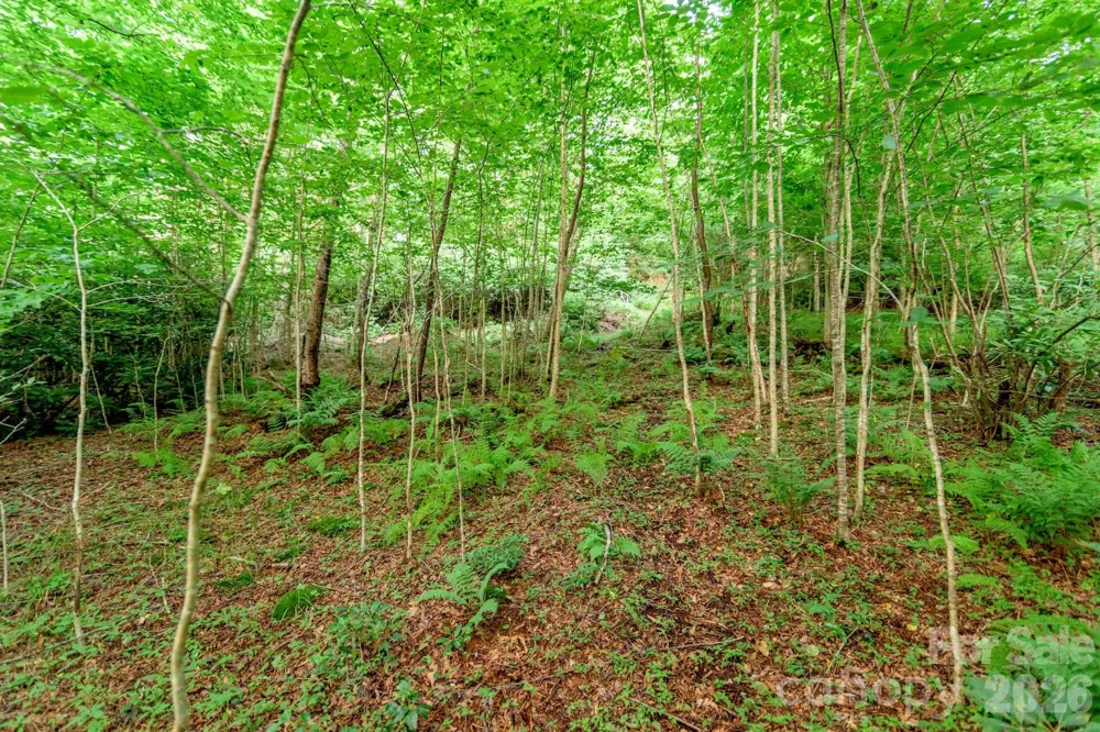 Lot 17R Kilkenney Boone, NC 28607