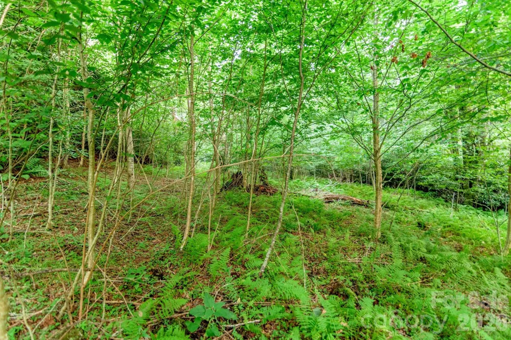 Lot 17R Kilkenney Boone, NC 28607