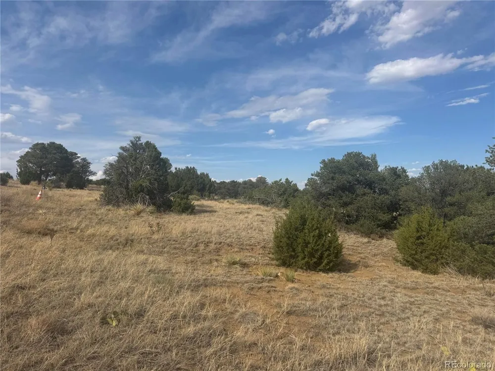 24 Black Diamond Park Walsenburg, CO 81089
