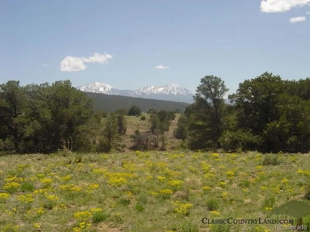 24 Black Diamond Park Walsenburg, CO 81089