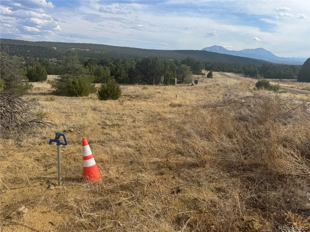 24 Black Diamond Park Walsenburg, CO 81089