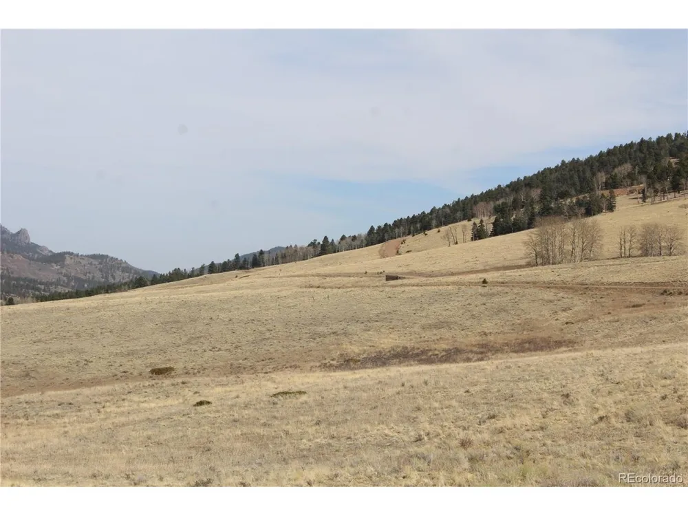 1115 Eagles Gate Road Westcliffe, CO 81252
