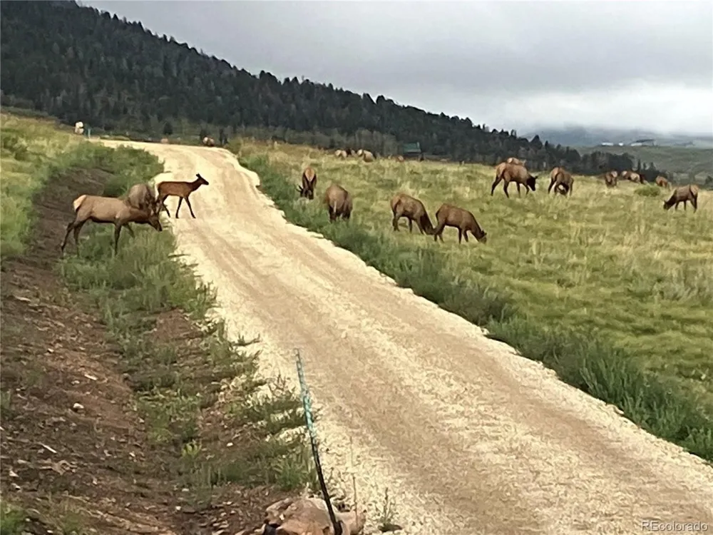 1115 Eagles Gate Road Westcliffe, CO 81252