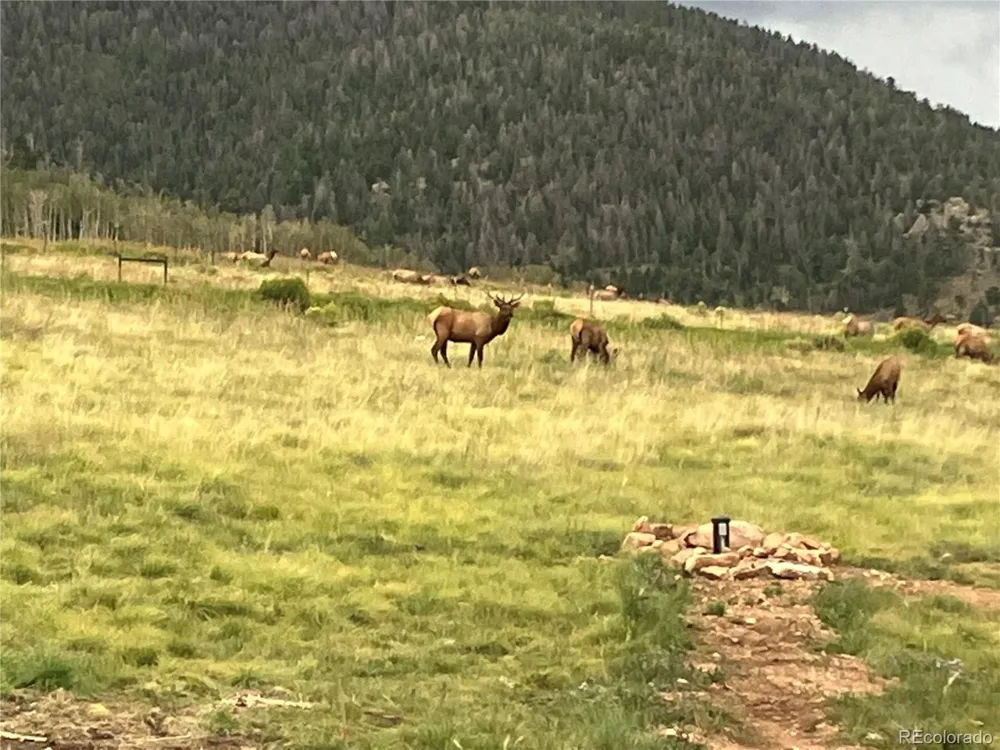 1115 Eagles Gate Road Westcliffe, CO 81252