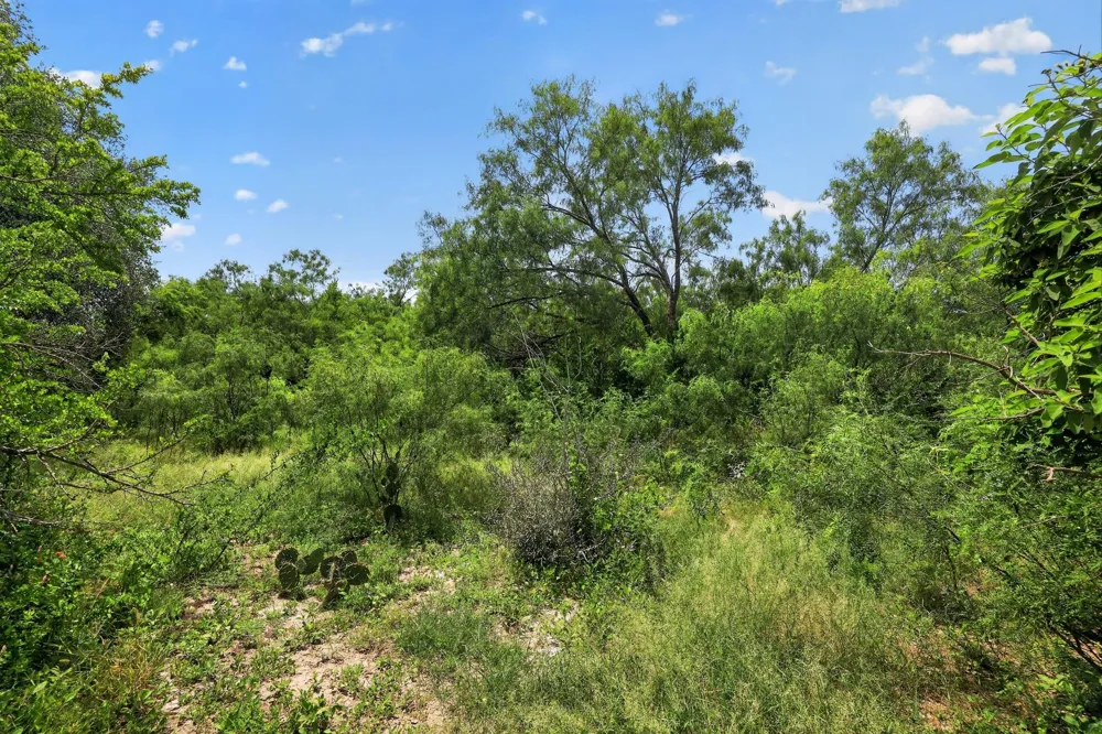 217 County Road 373 Uvalde, TX 78801