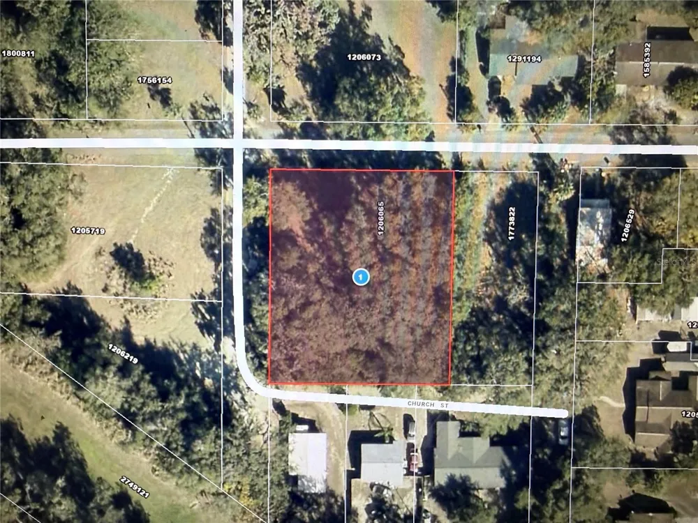 1101 E MAGNOLIA STREET Leesburg, FL 34748