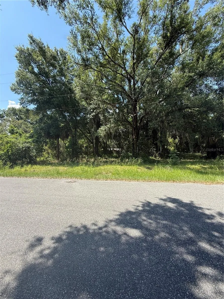 1101 E MAGNOLIA STREET Leesburg, FL 34748