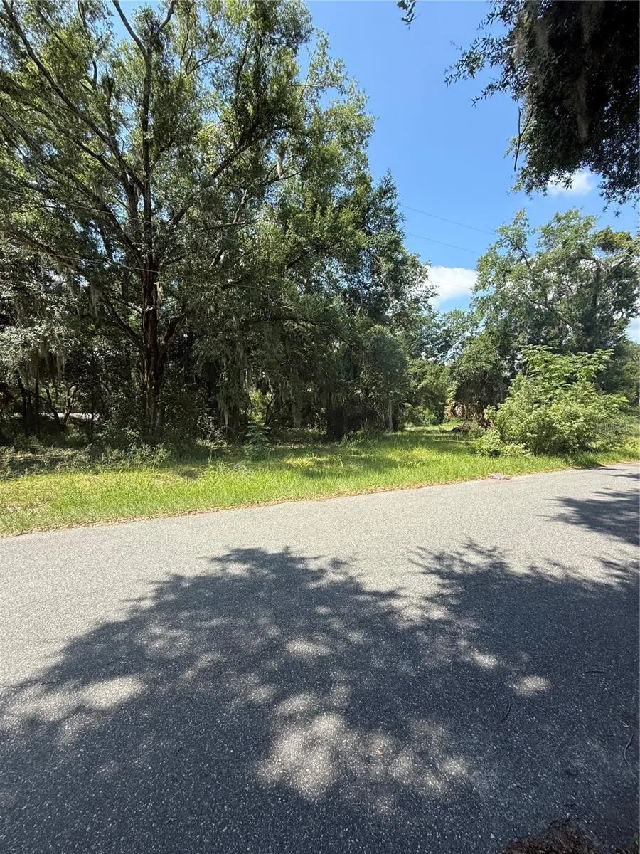 1101 E MAGNOLIA STREET Leesburg, FL 34748