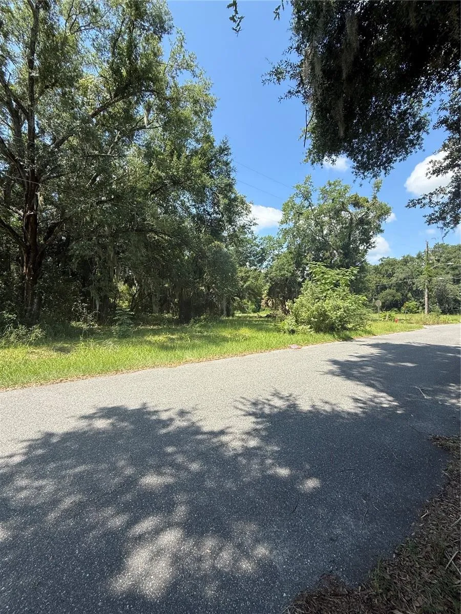 1101 E MAGNOLIA STREET Leesburg, FL 34748