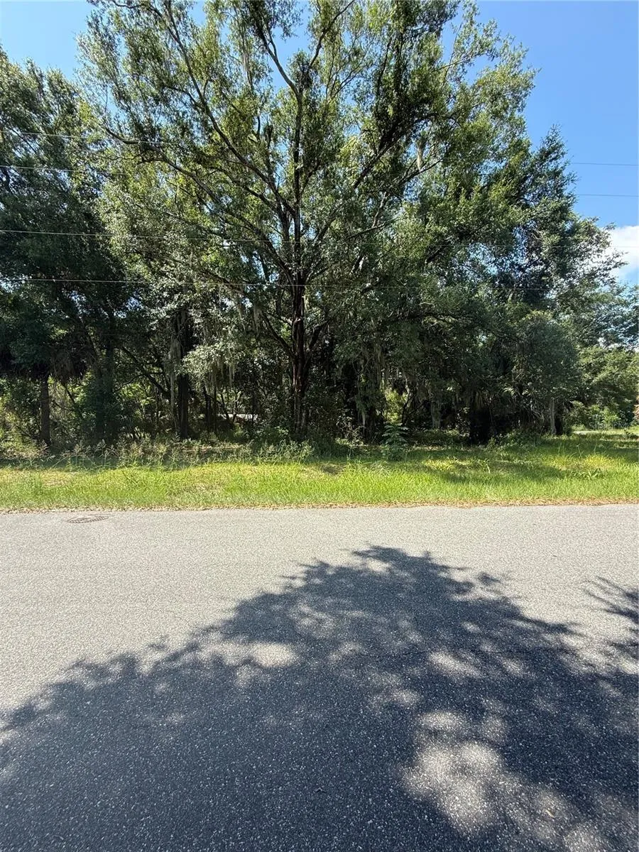 1101 E MAGNOLIA STREET Leesburg, FL 34748