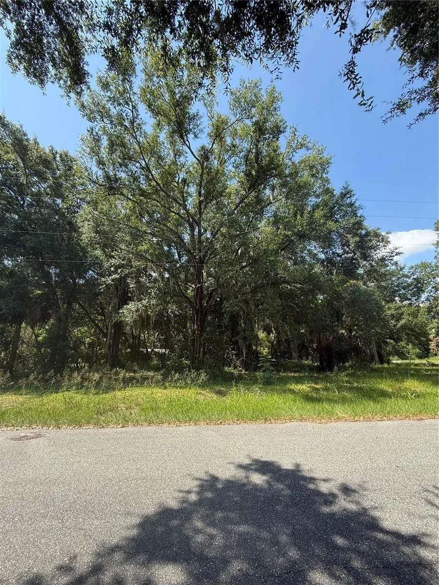 1101 E MAGNOLIA STREET Leesburg, FL 34748