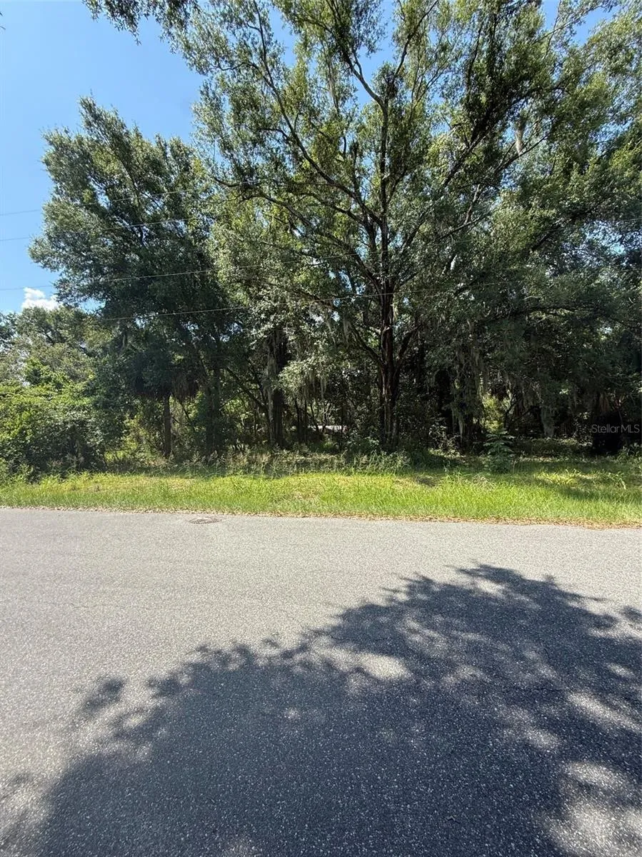 1101 E MAGNOLIA STREET Leesburg, FL 34748