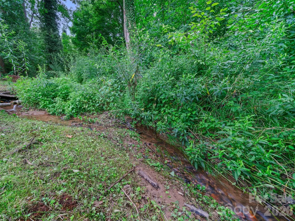 1644 State Hwy 80 S Burnsville, NC 28714