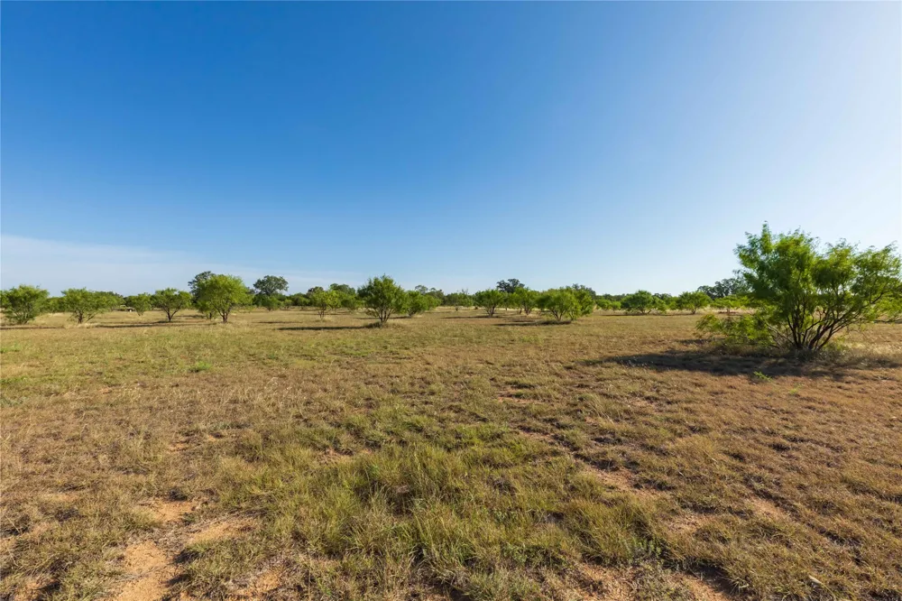 FM 707 Anson, TX 79501