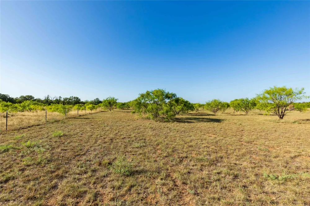 FM 707 Anson, TX 79501