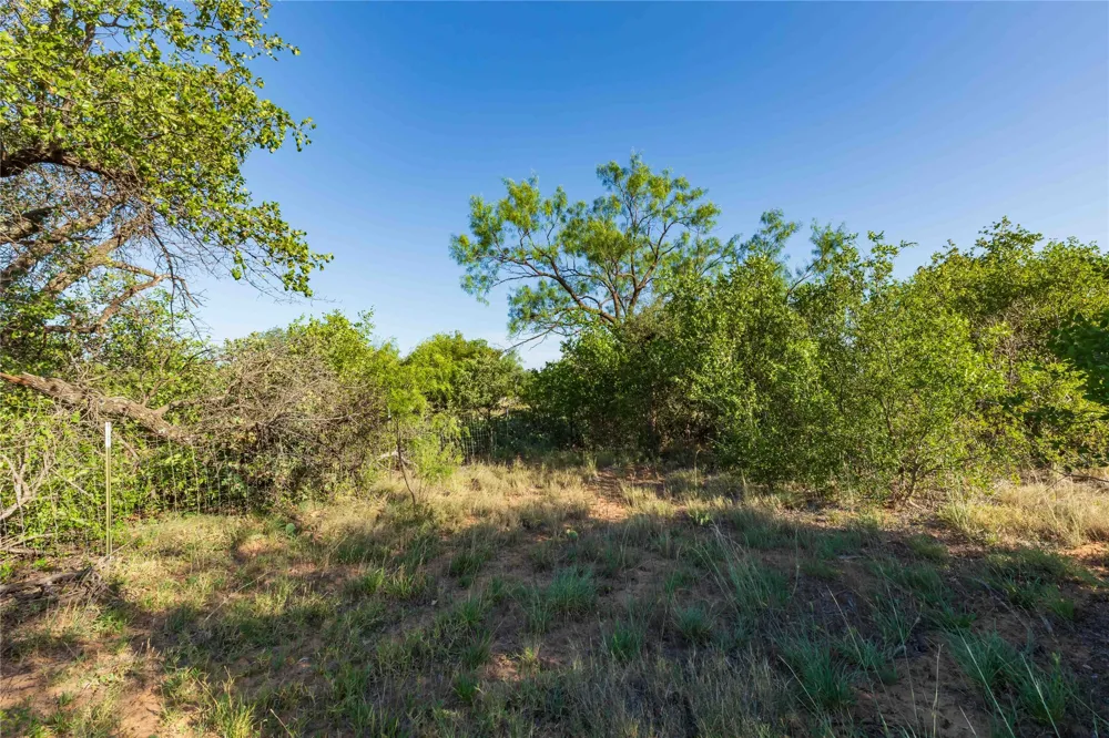 FM 707 Anson, TX 79501
