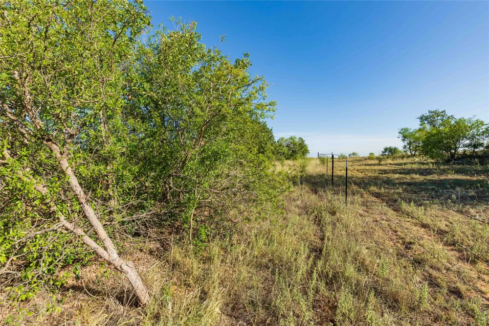 FM 707 Anson, TX 79501