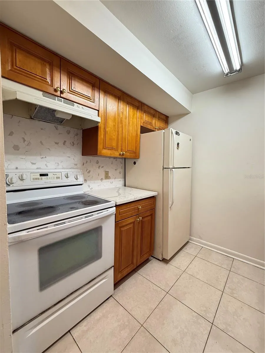 14308 HANGING MOSS CIRCLE #102 Tampa, FL 33613
