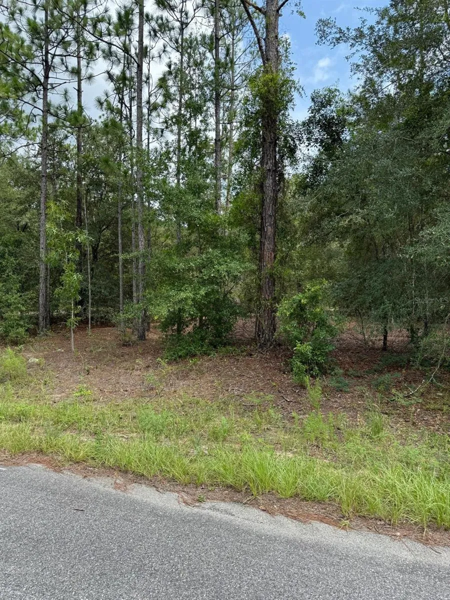 6461 ELNORA WAY Citrus Springs, FL 34433