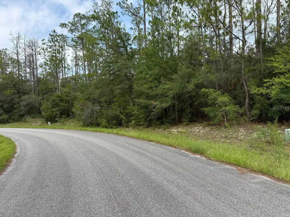 6461 ELNORA WAY Citrus Springs, FL 34433