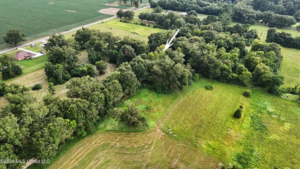 2147 Hwy 613 Lucedale, MS 39452
