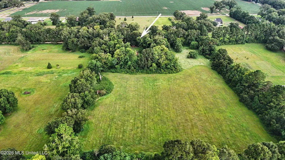 2147 Hwy 613 Lucedale, MS 39452