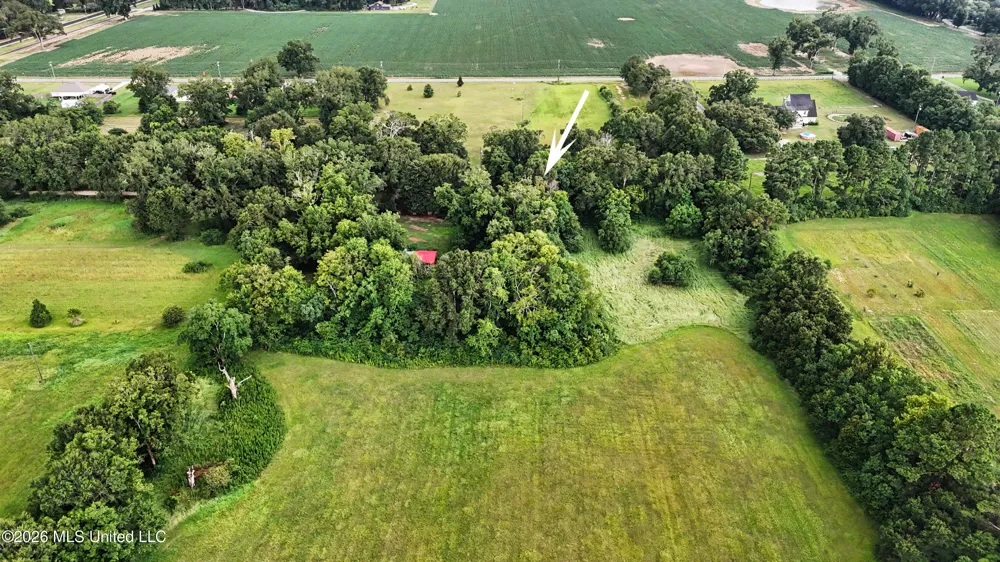 2147 Hwy 613 Lucedale, MS 39452