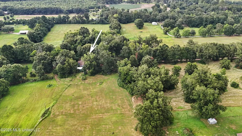 2147 Hwy 613 Lucedale, MS 39452
