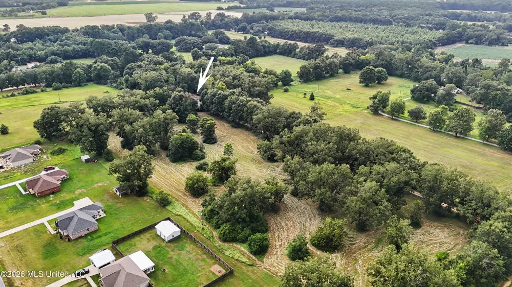 2147 Hwy 613 Lucedale, MS 39452