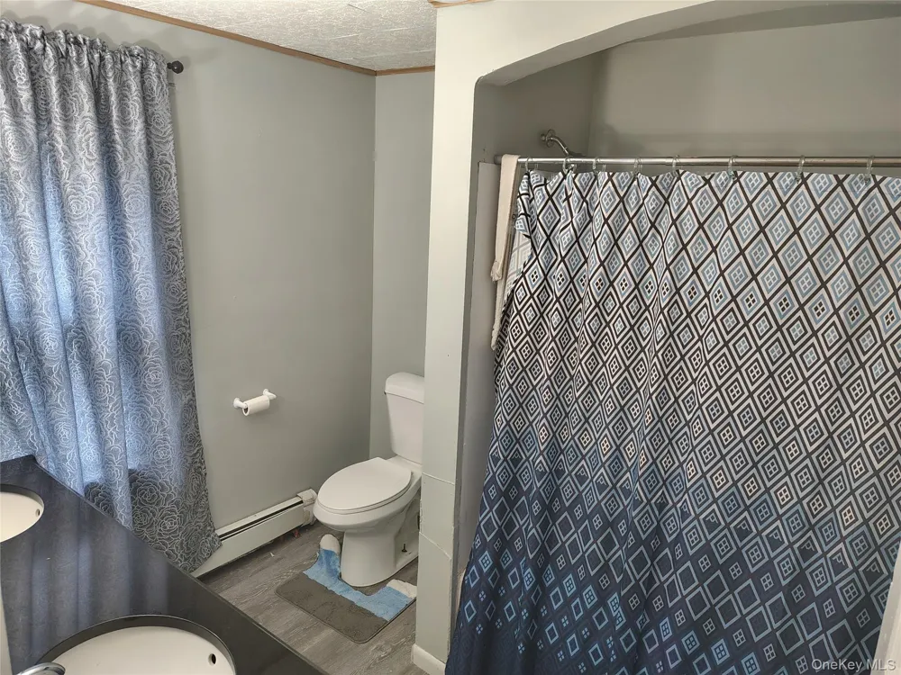12 Emma Street Liberty, NY 12754