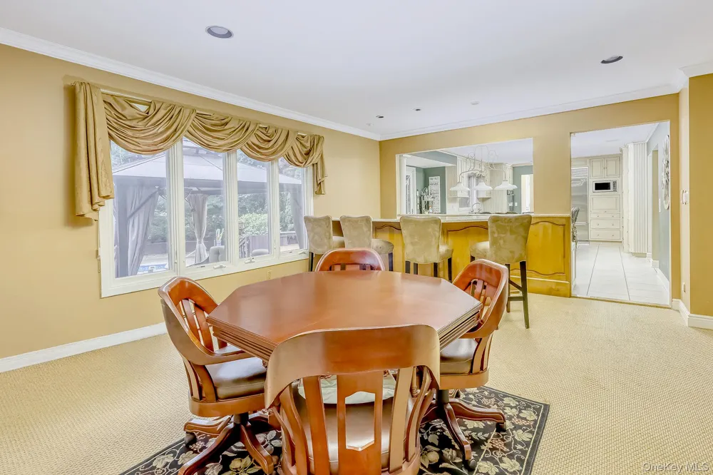 17 Snowdrop Drive New City, NY 10956