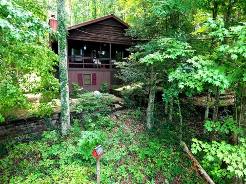 Cottontail Ln